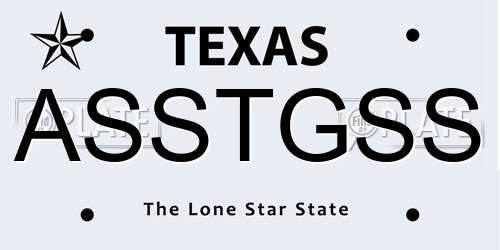 ASSTGSS Texas License Plate