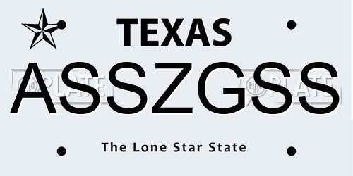 ASSZGSS Texas License Plate