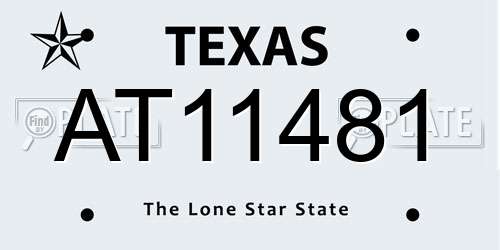AT11481 Texas License Plate