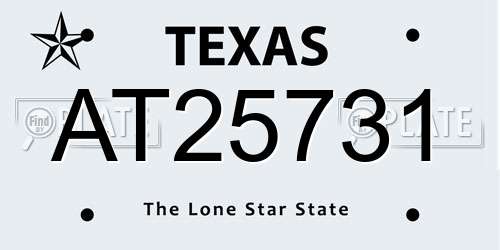 AT25731 Texas License Plate
