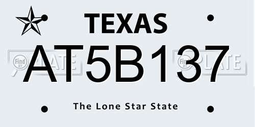AT5B137 Texas License Plate