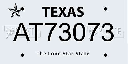 AT73073 Texas License Plate