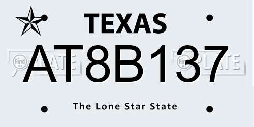 AT8B137 Texas License Plate