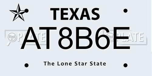 AT8B6E Texas License Plate