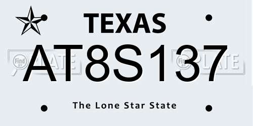 AT8S137 Texas License Plate