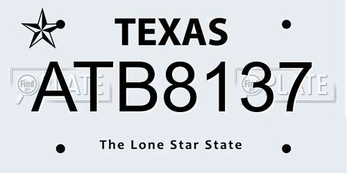 ATB8137 Texas License Plate