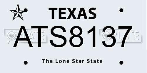 ATS8137 Texas License Plate