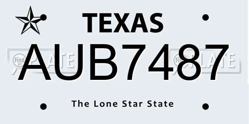 AUB7487 Texas License Plate