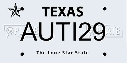 AUTI29 Texas License Plate