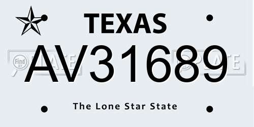 AV31689 Texas License Plate