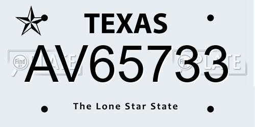 AV65733 Texas License Plate