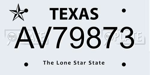 AV79873 Texas License Plate