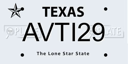 AVTI29 Texas License Plate