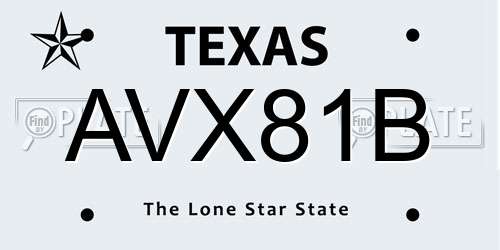 AVX81B Texas License Plate
