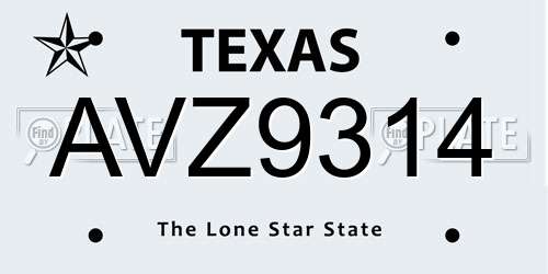 AVZ9314 Texas License Plate