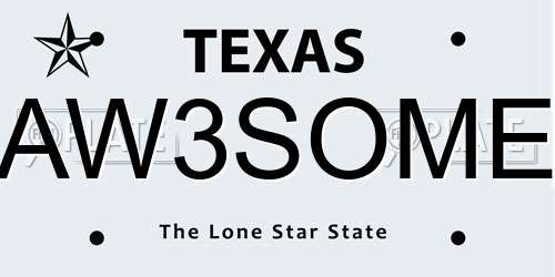 AW3SOME Texas License Plate