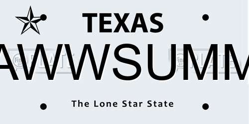 AWWSUMM Texas License Plate