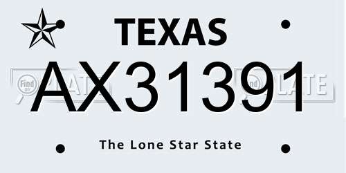 AX31391 Texas License Plate