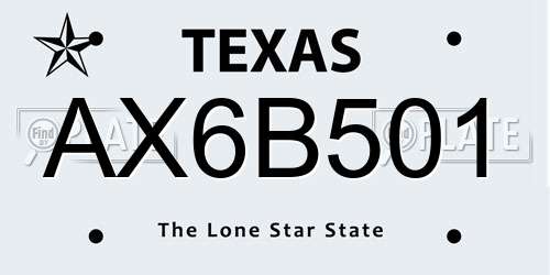 AX6B501 Texas License Plate