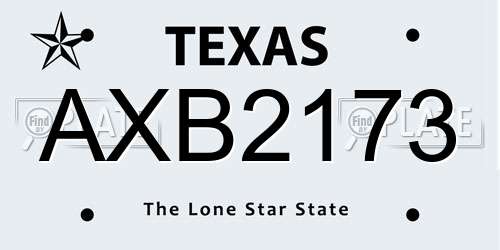 AXB2173 Texas License Plate