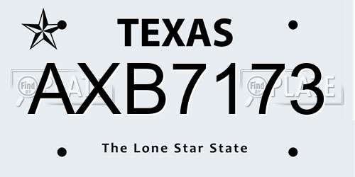 AXB7173 Texas License Plate