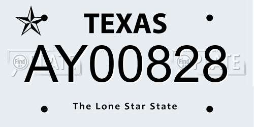 AY00828 Texas License Plate