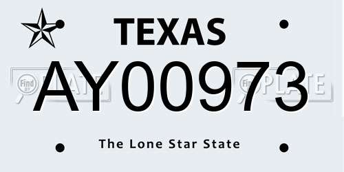 AY00973 Texas License Plate