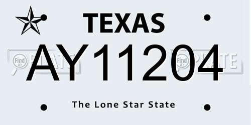 AY11204 Texas License Plate