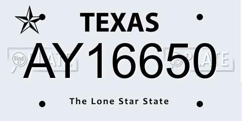 AY16650 Texas License Plate