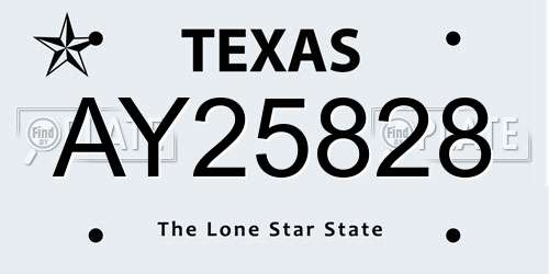 AY25828 Texas License Plate
