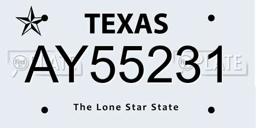 AY55231 Texas License Plate