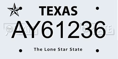 AY61236 Texas License Plate