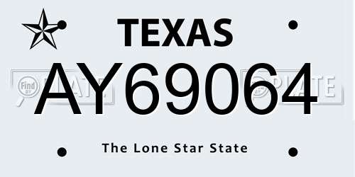 AY69064 Texas License Plate