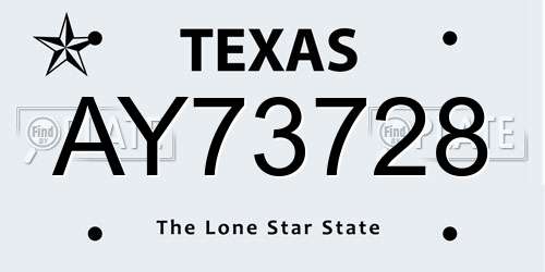 AY73728 Texas License Plate