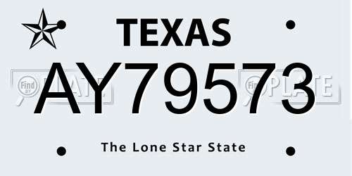 AY79573 Texas License Plate