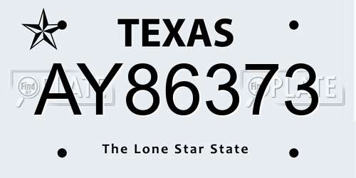 AY86373 Texas License Plate
