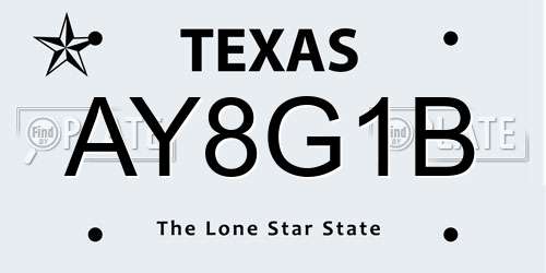 AY8G1B Texas License Plate