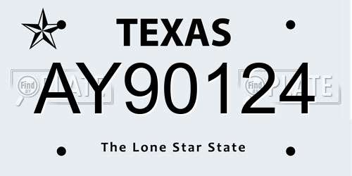 AY90124 Texas License Plate
