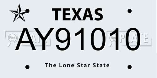 AY91010 Texas License Plate