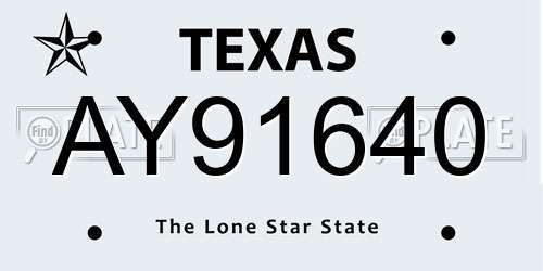 AY91640 Texas License Plate