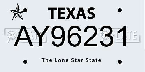AY96231 Texas License Plate