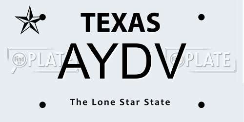 AYDV Texas License Plate