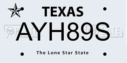 AYH89S Texas License Plate