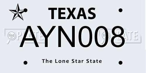 AYN008 Texas License Plate