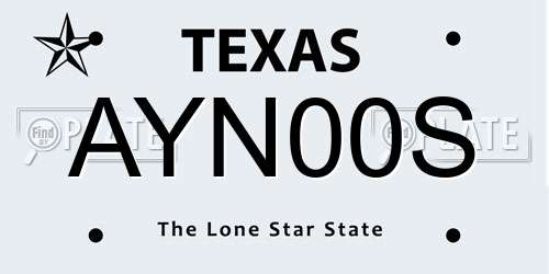 AYN00S Texas License Plate