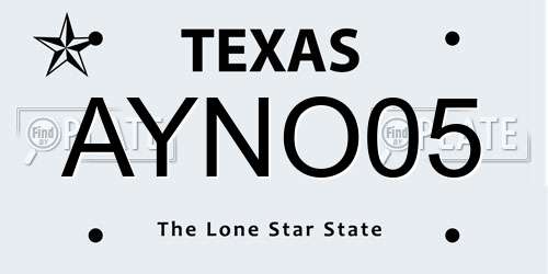 AYNO05 Texas License Plate