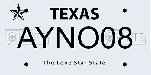 AYNO08 Texas License Plate