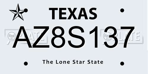 AZ8S137 Texas License Plate