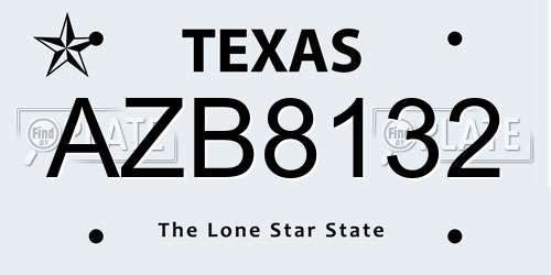 AZB8132 Texas License Plate