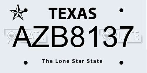 AZB8137 Texas License Plate
